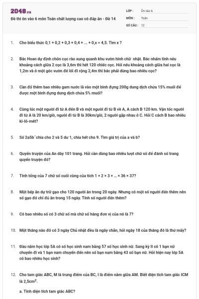 Đề thi ôn vào 6 môn Toán chất lượng cao có đáp án - Đề 14
