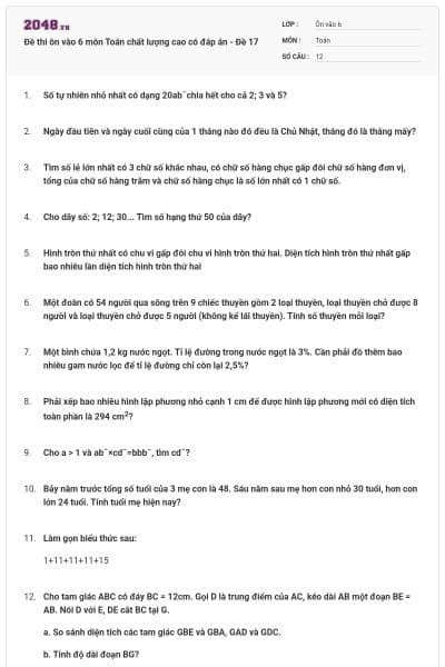 Đề thi ôn vào 6 môn Toán chất lượng cao có đáp án - Đề 17