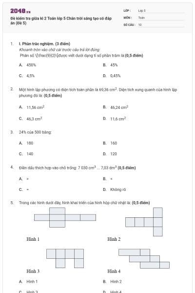 Đề kiểm tra giữa kì 2 Toán lớp 5 Chân trời sáng tạo có đáp án (Đề 5)