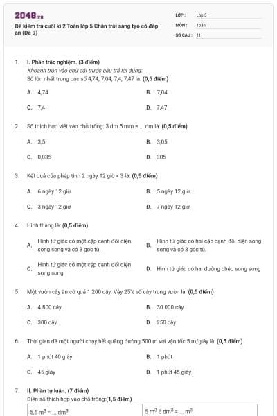 Đề kiểm tra cuối kì 2 Toán lớp 5 Chân trời sáng tạo có đáp án (Đề 9)