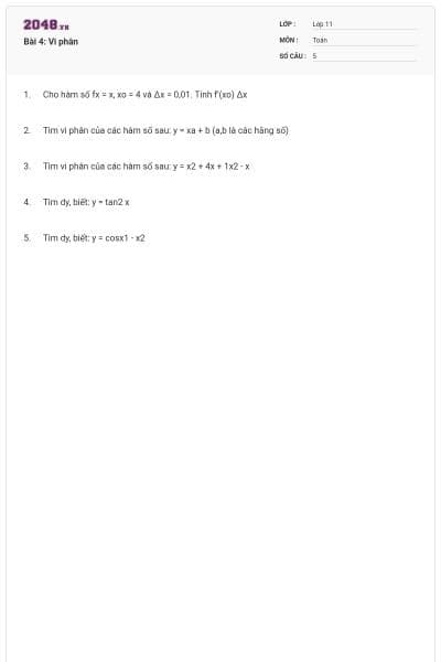 Bài 4: Vi phân