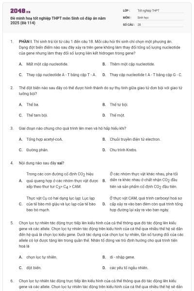 Đề minh hoạ tốt nghiệp THPT môn Sinh có đáp án năm 2025 (Đề 114)