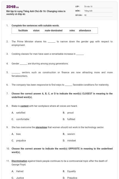 Bài tập từ vựng Tiếng Anh Chủ đề 16: Changing roles in society có đáp án