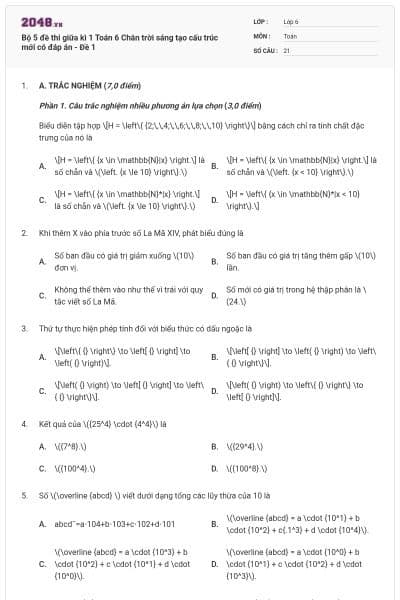 Bộ 5 đề thi giữa kì 1 Toán 6 Chân trời sáng tạo cấu trúc mới có đáp án - Đề 1