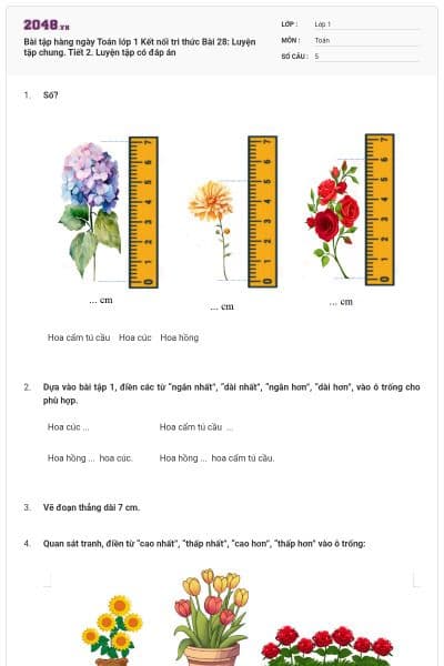 Bài tập hàng ngày Toán lớp 1 Kết nối tri thức Bài 28: Luyện tập chung. Tiết 2. Luyện tập có đáp án