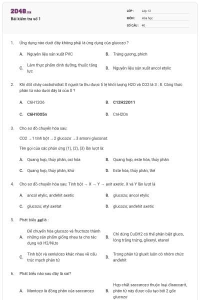 Bài kiểm tra số 1