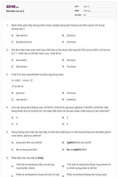 Bài kiểm tra số 2