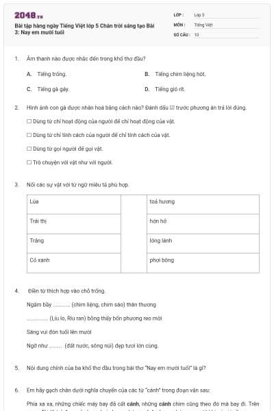 Bài tập hàng ngày Tiếng Việt lớp 5 Chân trời sáng tạo Bài 3: Nay em mười tuổi