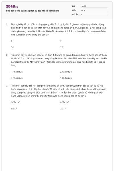 Pha dao động của các phần tử dây khi có sóng dừng