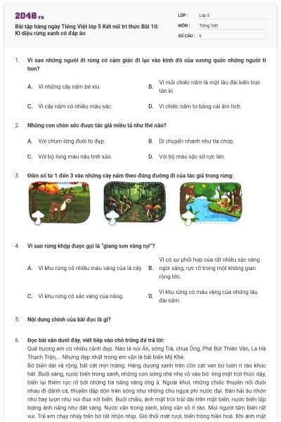 Bài tập hàng ngày Tiếng Việt lớp 5 Kết nối tri thức Bài 10: Kì diệu rừng xanh có đáp án