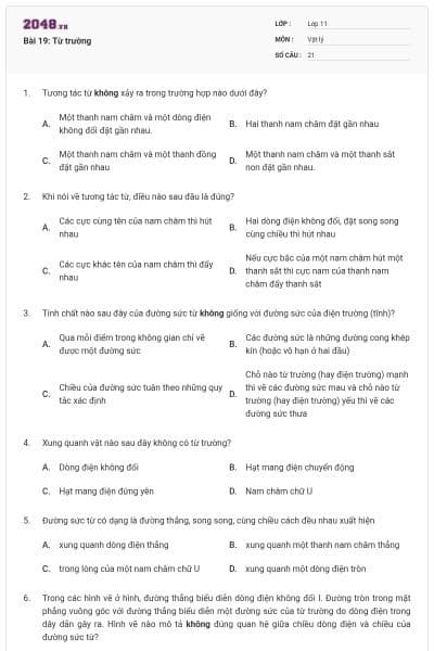 Bài 19: Từ trường