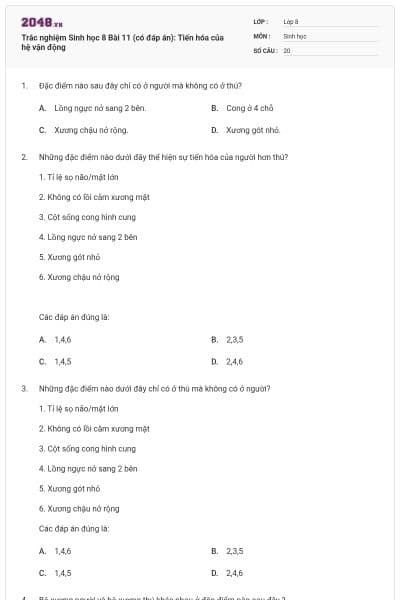 Trắc nghiệm Sinh học 8 Bài 11 (có đáp án): Tiến hóa của hệ vận động
