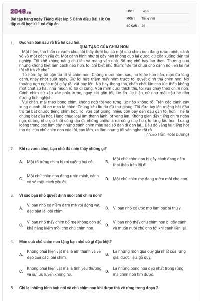 Bài tập hàng ngày Tiếng Việt lớp 5 Cánh diều Bài 10: Ôn tập cuối học kì 1 có đáp án