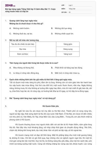 Bài tập hàng ngày Tiếng Việt lớp 5 Cánh diều Bài 11: Cuộc sống muôn màu có đáp án