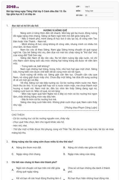 Bài tập hàng ngày Tiếng Việt lớp 5 Cánh diều Bài 15: Ôn tập giữa học kì 2 có đáp án
