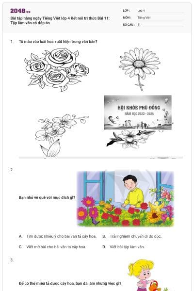 Bài tập hàng ngày Tiếng Việt lớp 4 Kết nối tri thức Bài 11: Tập làm văn có đáp án