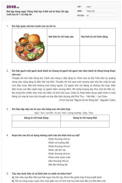 Bài tập hàng ngày Tiếng Việt lớp 4 Kết nối tri thức Ôn tập cuối học kì 1 có đáp án