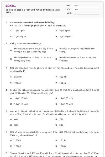 Đề kiểm tra giữa kì 2 Toán lớp 5 Kết nối tri thức có đáp án (Đề 9)