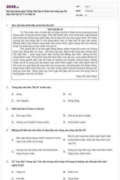 Bài tập hàng ngày Tiếng Việt lớp 4 Chân trời sáng tạo Ôn tập cuối học kì 1 có đáp án