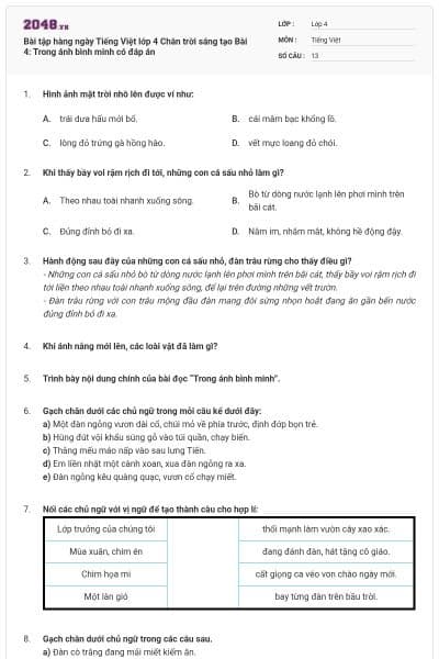 Bài tập hàng ngày Tiếng Việt lớp 4 Chân trời sáng tạo Bài 4: Trong ánh bình minh có đáp án