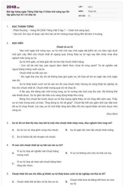 Bài tập hàng ngày Tiếng Việt lớp 3 Chân trời sáng tạo Ôn tập giữa học kì I có đáp án