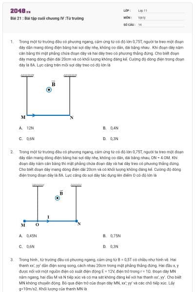Bài 21 : Bài tập cuối chương IV :Từ trường