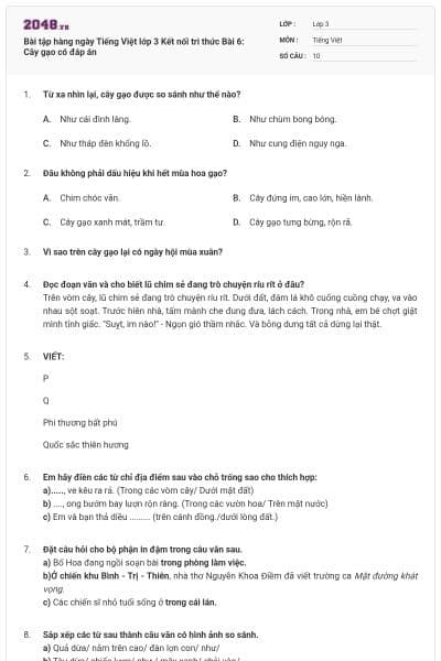 Bài tập hàng ngày Tiếng Việt lớp 3 Kết nối tri thức Bài 6: Cây gạo có đáp án