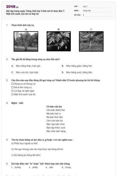 Bài tập hàng ngày Tiếng Việt lớp 3 Kết nối tri thức Bài 7: Mặt trời xanh của tôi có đáp án