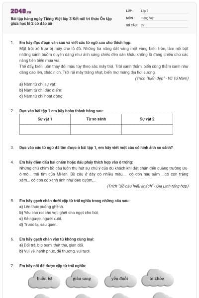 Bài tập hàng ngày Tiếng Việt lớp 3 Kết nối tri thức Ôn tập giữa học kì 2 có đáp án