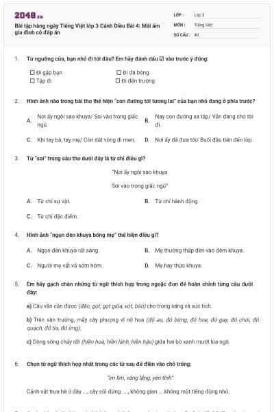Bài tập hàng ngày Tiếng Việt lớp 3 Cánh Diều Bài 4: Mái ấm gia đình có đáp án