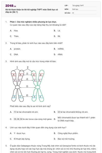 Đề thi tham khảo ôn thi tốt nghiệp THPT môn Sinh học có đáp án (Đề 1)