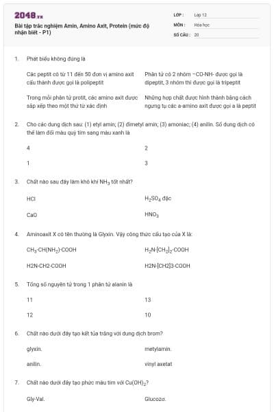 Bài tập trắc nghiệm Amin, Amino Axit, Protein (mức độ nhận biết - P1)