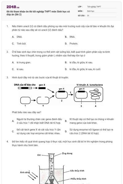 Đề thi tham khảo ôn thi tốt nghiệp THPT môn Sinh học có đáp án (Đề 2)