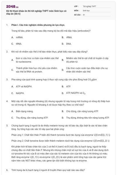 Đề thi tham khảo ôn thi tốt nghiệp THPT môn Sinh học có đáp án (Đề 6)