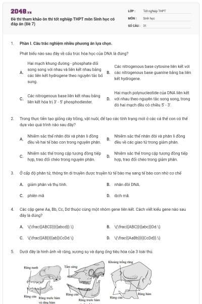 Đề thi tham khảo ôn thi tốt nghiệp THPT môn Sinh học có đáp án (Đề 7)