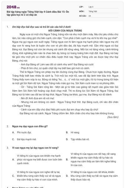 Bài tập hàng ngày Tiếng Việt lớp 4 Cánh diều Bài 15: Ôn tập giữa học kì 2 có đáp án