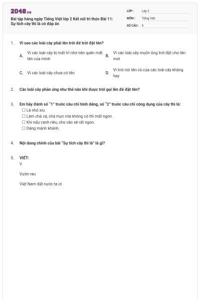 Bài tập hàng ngày Tiếng Việt lớp 2 Kết nối tri thức Bài 11: Sự tích cây thì là có đáp án