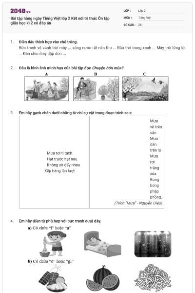 Bài tập hàng ngày Tiếng Việt lớp 2 Kết nối tri thức Ôn tập giữa học kì 2 có đáp án