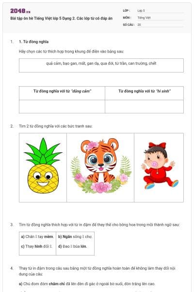 Bài tập ôn hè Tiếng Việt lớp 5 Dạng 2. Các lớp từ có đáp án