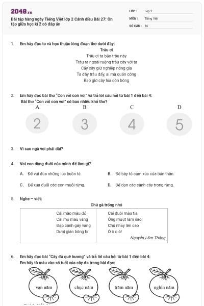 Bài tập hàng ngày Tiếng Việt lớp 2 Cánh diều Bài 27: Ôn tập giữa học kì 2 có đáp án