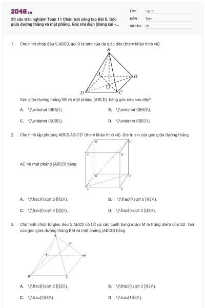 20 câu trắc nghiệm Toán 11 Chân trời sáng tạo Bài 5. Góc giữa đường thẳng và mặt phẳng. Góc nhị diện (Đúng sai - Trả lời ngắn) có đáp án