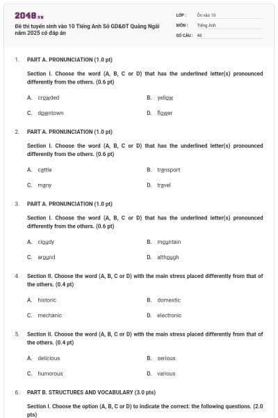 Đề thi tuyển sinh vào 10 Tiếng Anh Sở GD&ĐT Quảng Ngãi năm 2025 có đáp án