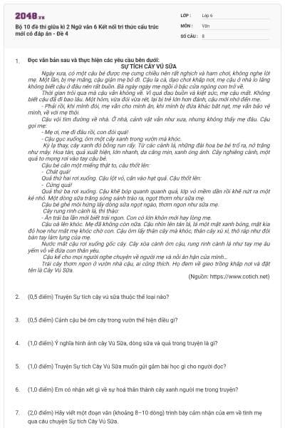 Bộ 10 đề thi giữa kì 2 Ngữ văn 6 Kết nối tri thức cấu trúc mới có đáp án - Đề 4