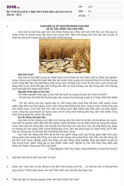 Bộ 10 đề thi cuối kì 1 Ngữ Văn 8 Cánh diều cấu trúc mới có đáp án - Đề 2