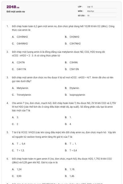 Đốt một amin no