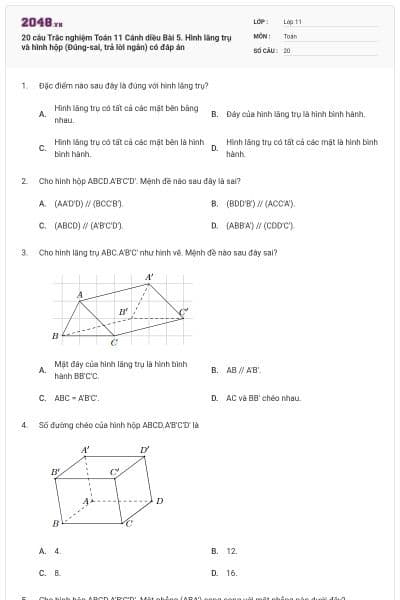 20 câu Trắc nghiệm Toán 11 Cánh diều Bài 5. Hình lăng trụ và hình hộp (Đúng-sai, trả lời ngắn) có đáp án