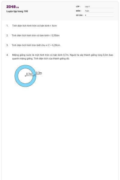 Luyện tập trang 100