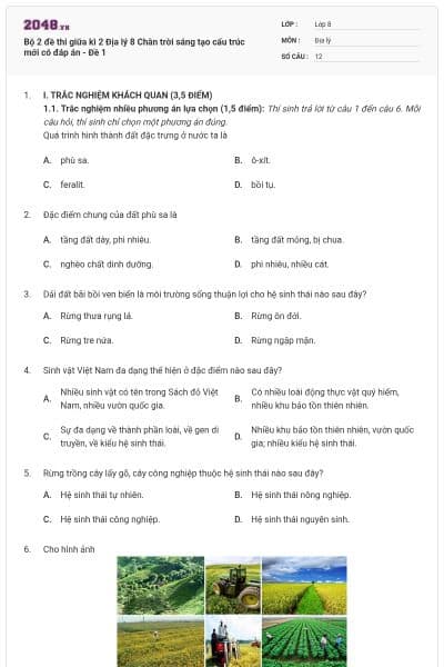 Bộ 2 đề thi giữa kì 2 Địa lý 8 Chân trời sáng tạo cấu trúc mới có đáp án - Đề 1