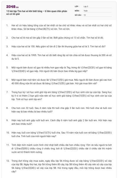 13 bài tập Tìm hai số khi biết tổng – tỉ liên quan đến phân số có lời giải