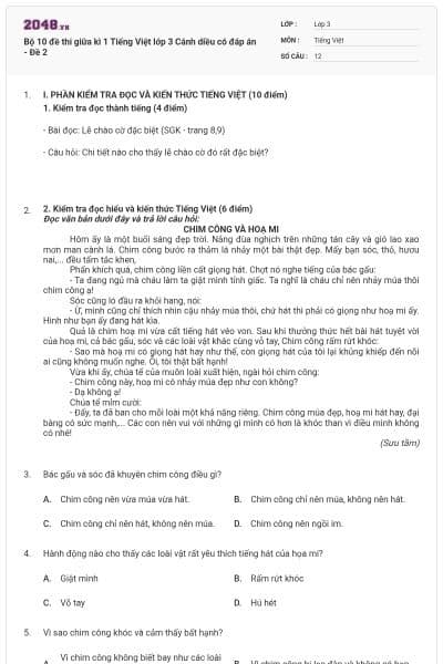 Bộ 10 đề thi giữa kì 1 Tiếng Việt lớp 3 Cánh diều có đáp án - Đề 2